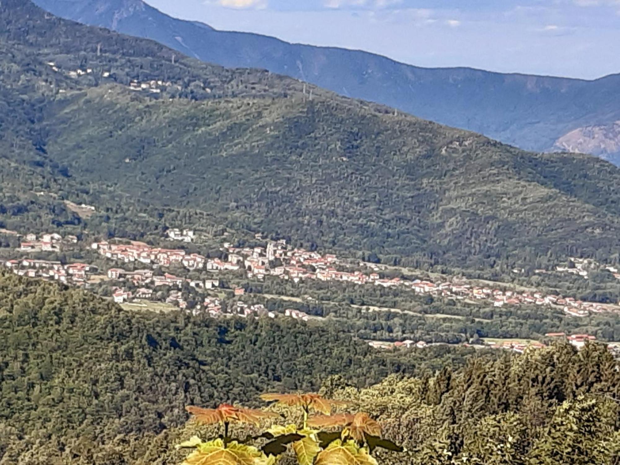 Grazioso Bilocale Merlino, Luminoso Con Vista Santuario, Wifi Giaveno Екстериор снимка